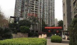 重庆王先生爆料最新,揭秘某神秘事件背后真相